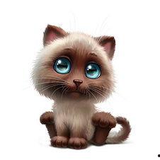 小猫变成人动画全集视频,动画全集精彩回顾