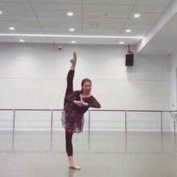 成人舞蹈拜年视频大全