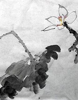 成人国画教研视频大全集,成人国画教研视频大全集概览