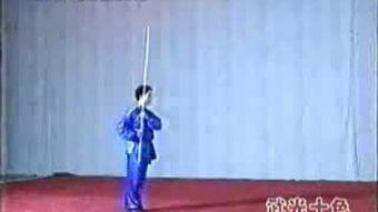 成人棍术全套视频大全,成人棍术全套视频精华集锦