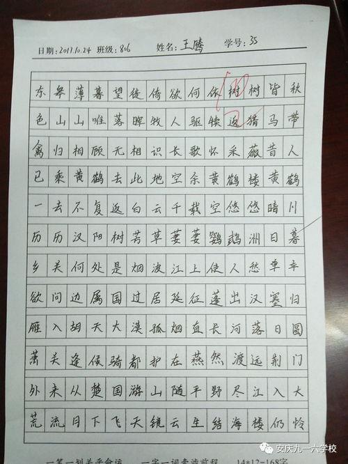 成人书法练字静心视频,成人书法练字视频教程深度解析