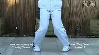 成人咏春拳教程视频大全,系统学习传统武术精髓