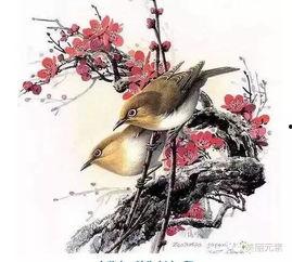 把鸟画成人歌曲视频,歌曲把鸟画成人的奇幻视觉之旅