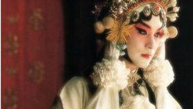 成人看的狐狸视频教程,成人视角下的自然观察与摄影技巧解析