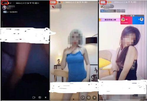 群性视频成人,揭秘成人世界的真实面貌