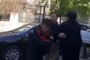 成人打人被人还击视频,成人还击打人行为的现场记录