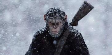 兽变成人的视频,兽变人奇幻之旅揭秘