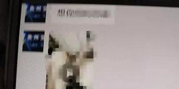 最新成人母乱伦视频