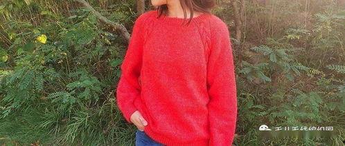 成人毛衣麻花编织视频,跟随视频轻松学会成人毛衣编织技巧