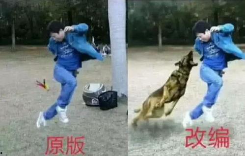 成人单人毽子高手视频